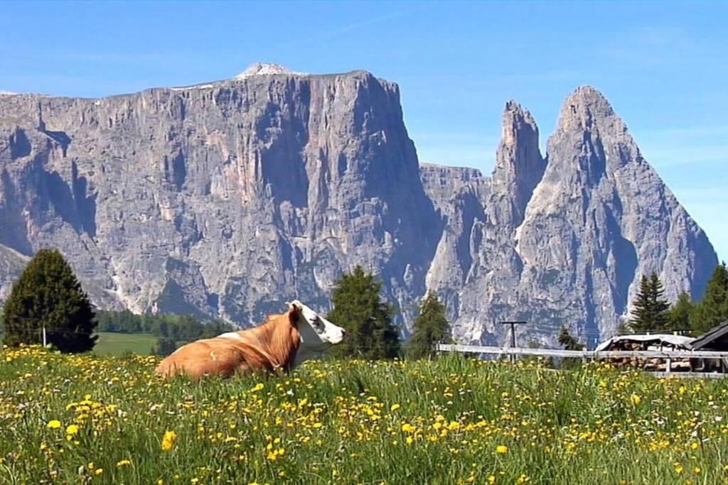 Fantastico Monolocale In Siusi Sciliar Daire Dış mekan fotoğraf