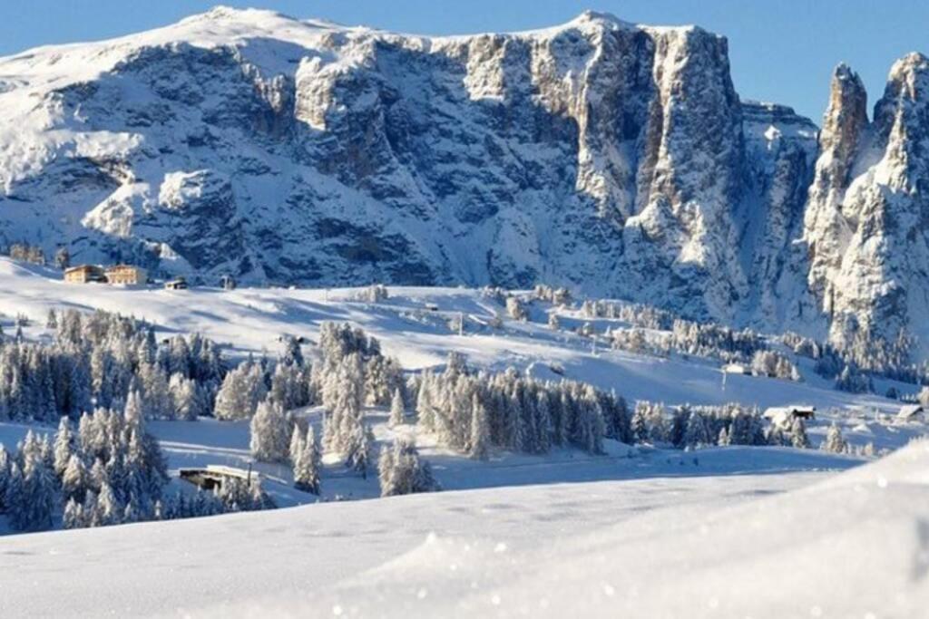 Fantastico Monolocale In Siusi Sciliar Daire Dış mekan fotoğraf